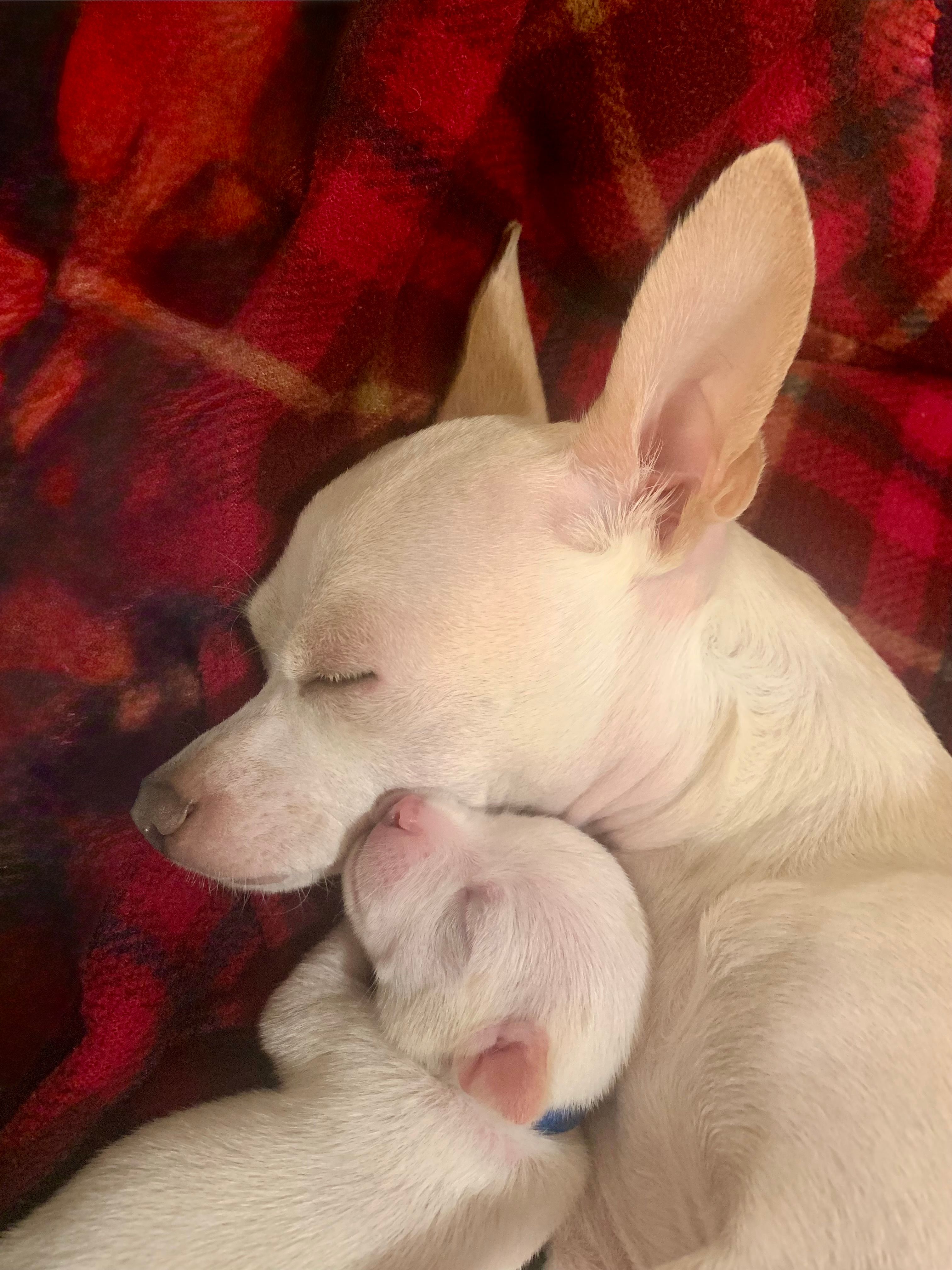 Cuddling